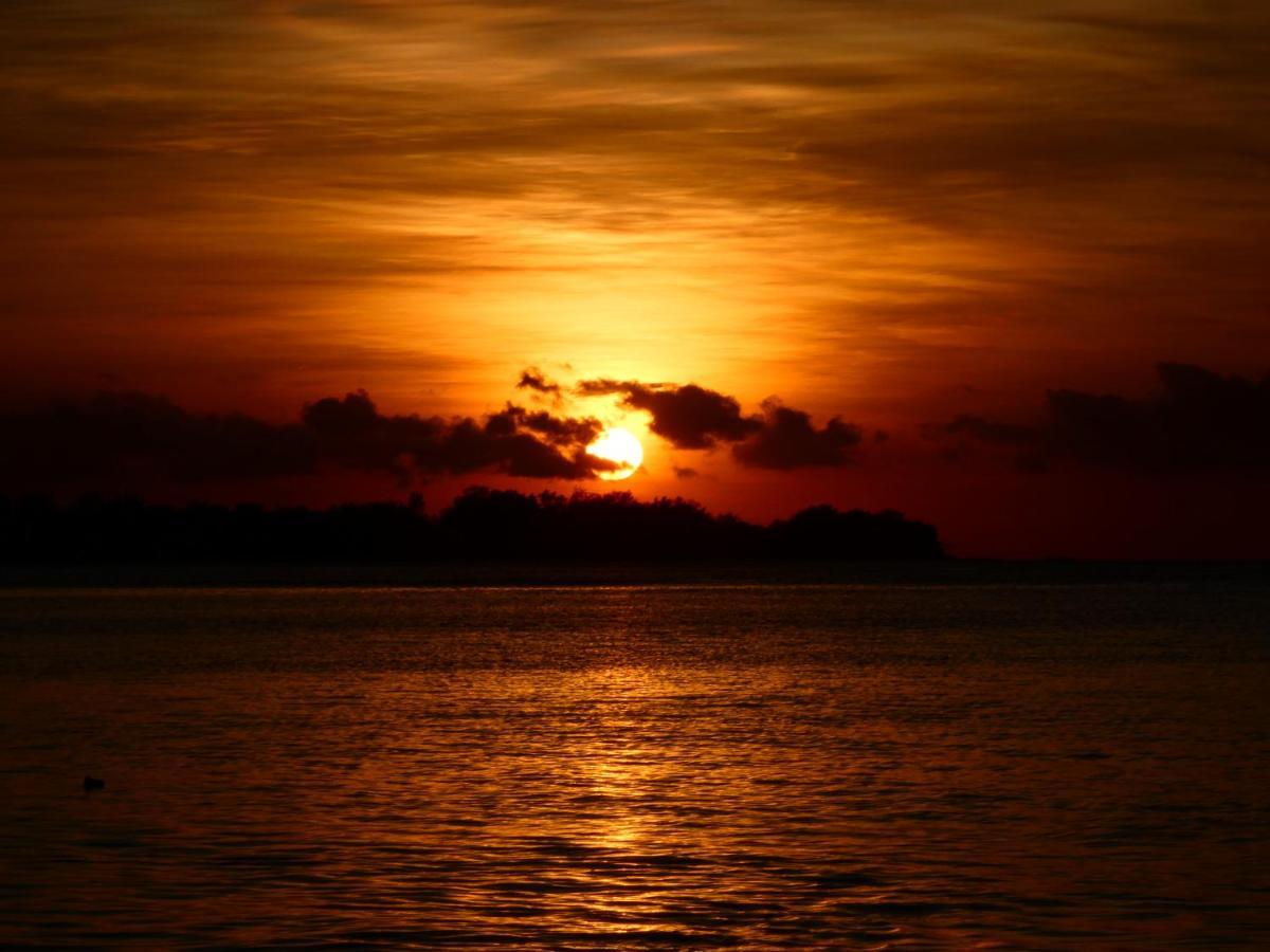 La Siesta Bungalows Only Adults Gili Air Exterior foto